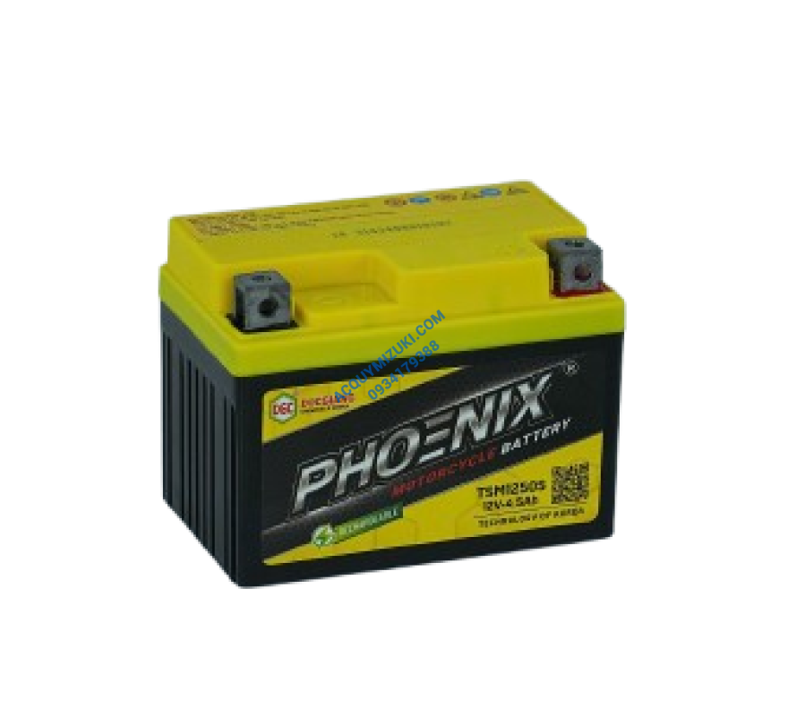Ắc quy đức giang 100V